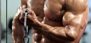 Nitro Strength - para massa muscular - forum - preço - Amazon