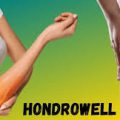 Hondrowell - preço - pomada - como aplicar