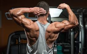 Truflexen Muscle Builder - para massa muscular - forum - como aplicar - preço